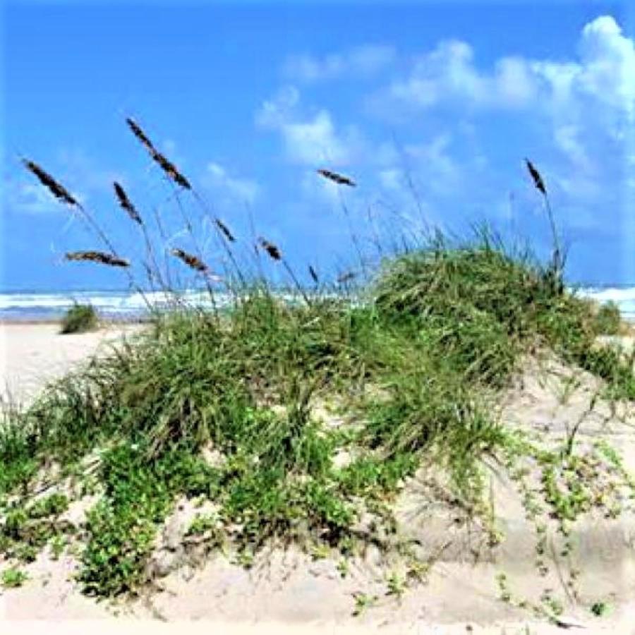 Village By The Gulf غولف شورز المظهر الخارجي الصورة